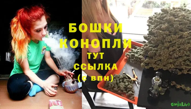 купить наркотик  Ветлуга  Конопля план 